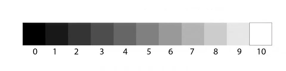 Escalas de gises, degradados | DIBUJO (lic. Sabillon)