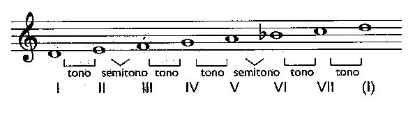Escalas y grados de la escala | Mcarmenfer's Blog