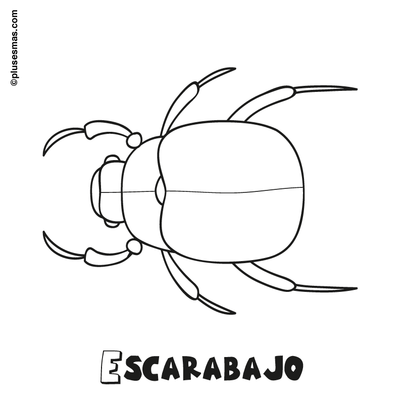 un escarabajo Colouring Pages