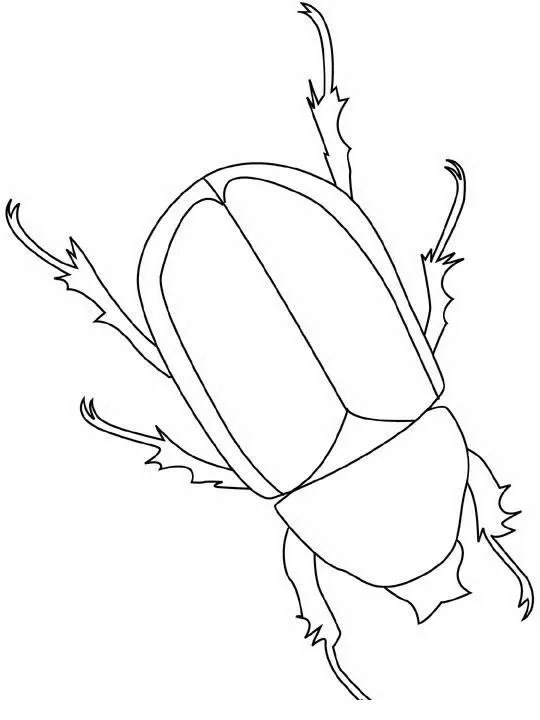 Escarabajo rinoceronte para colorear - Imagui