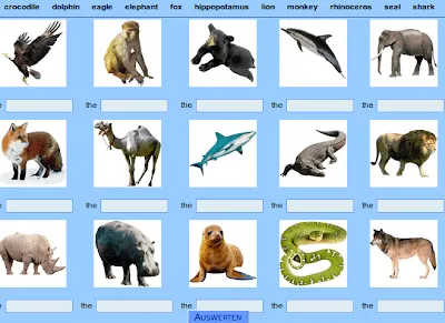 Escribe el nombre de los animales salvajes.-Inglés fácil para primaria