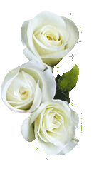 Escrito por elbaberodelaabuela el 16/02/2009 09:34 | Comentarios (0 ...