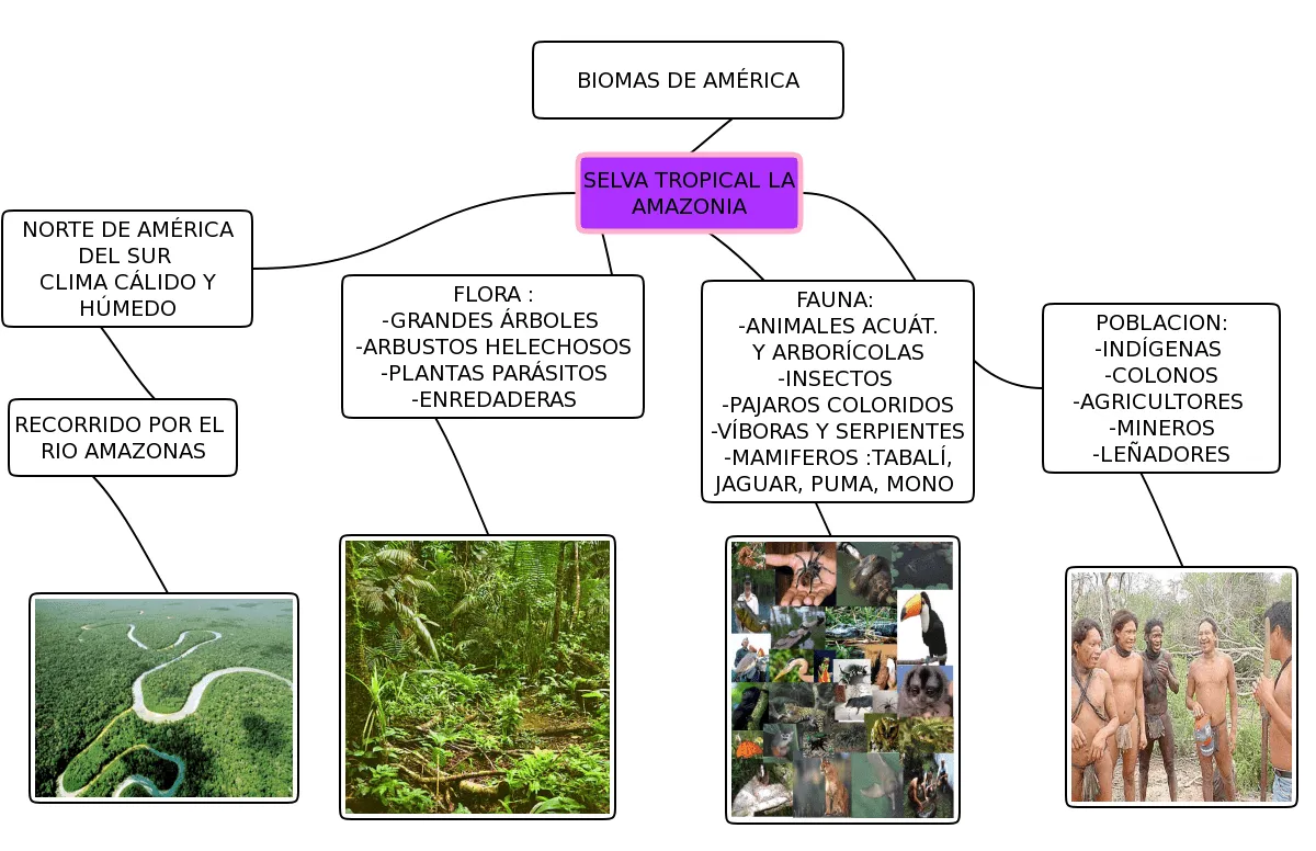 Escuela 112 "Constancio C.Vigil": BIOMAS DE AMÉRICA. 5to Año B