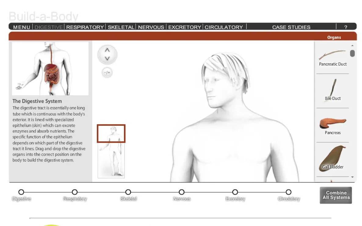 ESCUELA 2.0: Dos webs para concocer el cuerpo humano