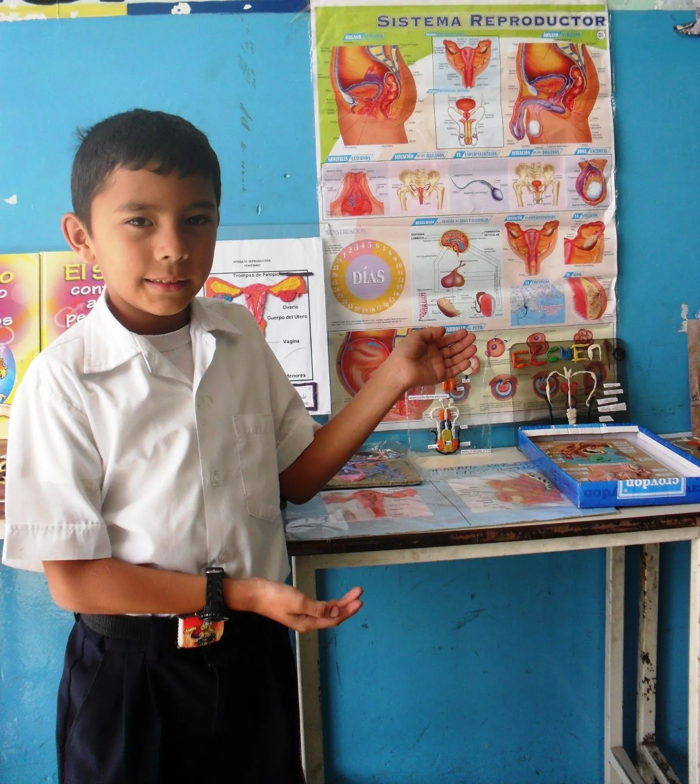 Escuela Bolivariana Mons. Tomás Antonio Sanmiguel: Los niños y ...