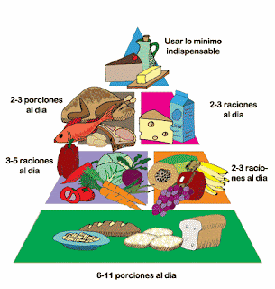 Mi Escuela Divertida: Nutrición: ¿Cómo elijo los alimentos ...