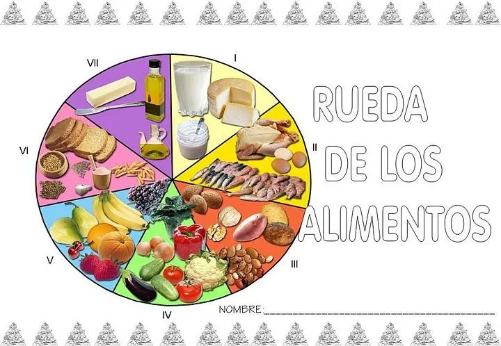 Escuela Especial Abierta: RUEDA DE LOS ALIMENTOS