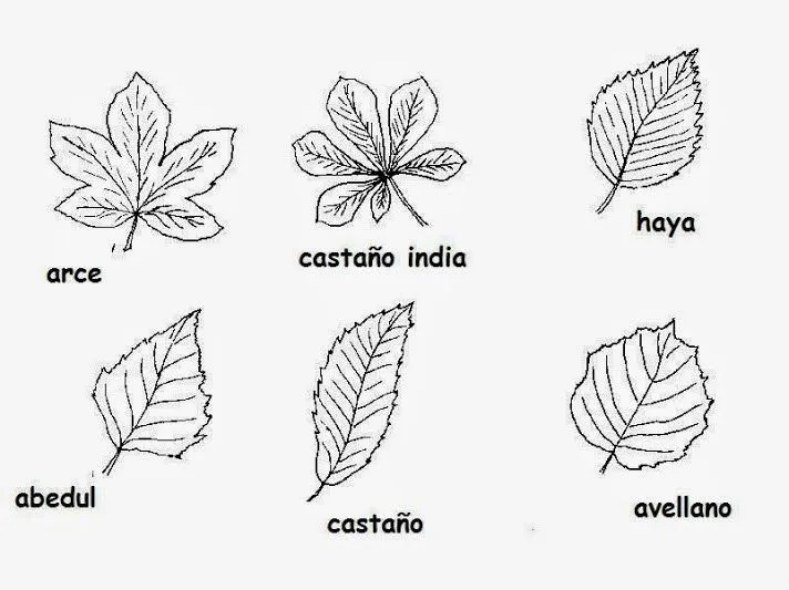 Escuela infantil castillo de Blanca: OTOÑO: LA VENDIMIA