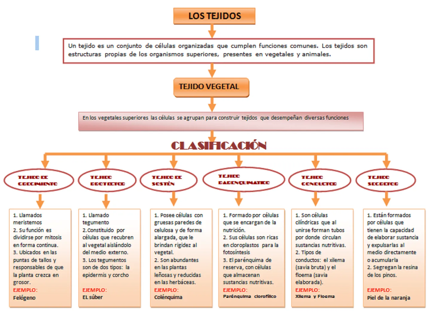 Escuela superior politecnica de Chimborazo (Curso de nivelacion y ...