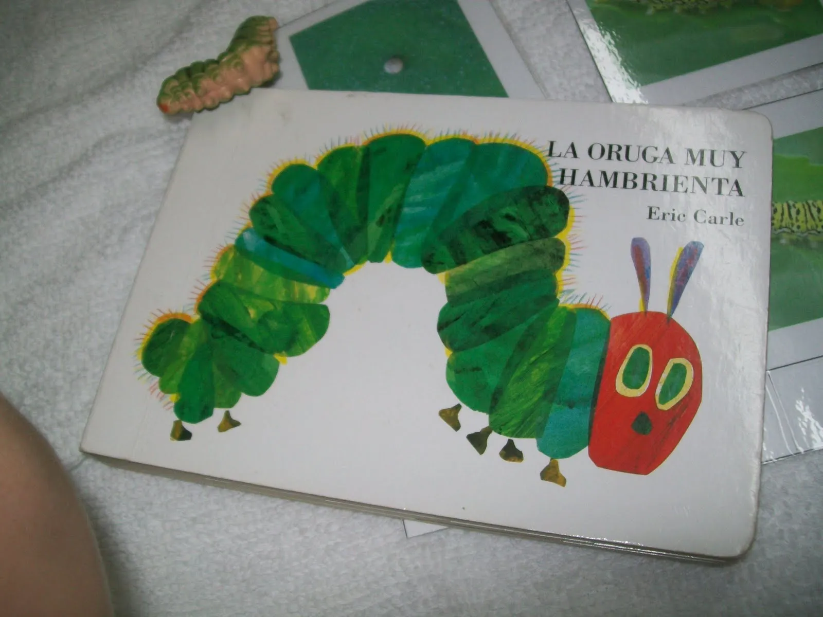 Mi Escuelita Montessori: Ciclo de Vida de la Mariposa / Life Cycle ...