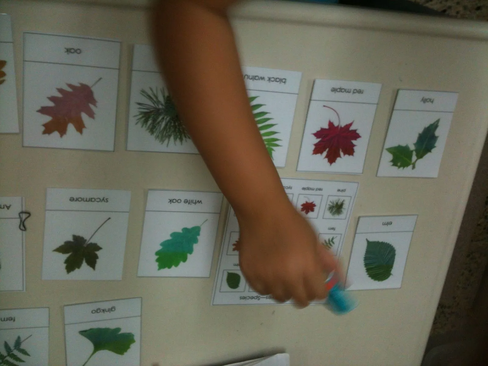 Mi Escuelita Montessori: Montessori Monday