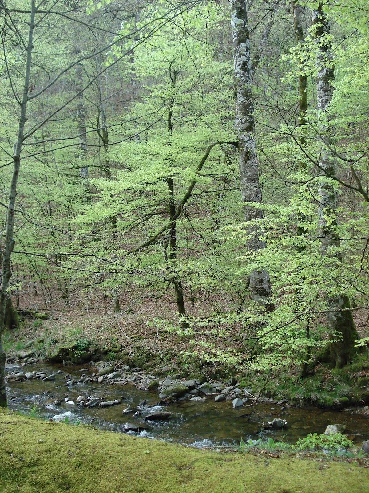 La esencia de las Piedras Paisaje