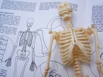 Esfuerzo físico y postural | ISTAS