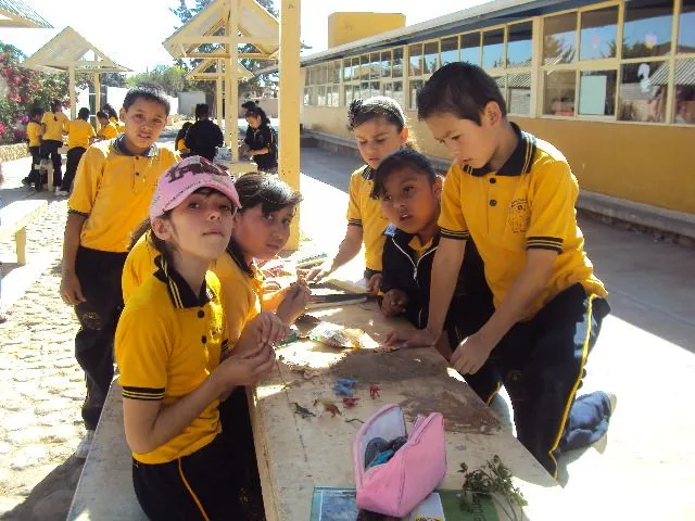 EL ESPACIO DE 4° B: LAS REGIONES NATURALES DE MEXICO