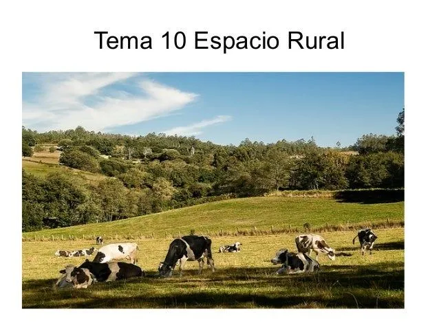 Espacio rural