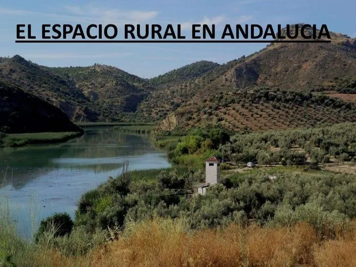 El espacio rural en andalucia