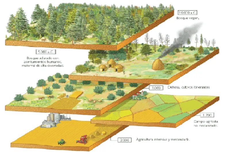 Espacios Geograficos | Geograficos, Imagenes del espacio geografico,  Geografico