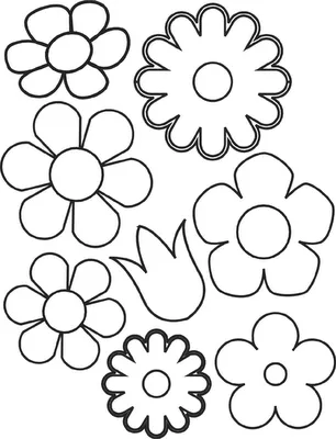 ESPAÇO EDUCAR: Moldes de borboletas e flores para murais!