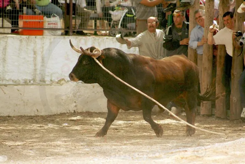 ESPAI TAURÍ: San Marcos. Beas de Segura