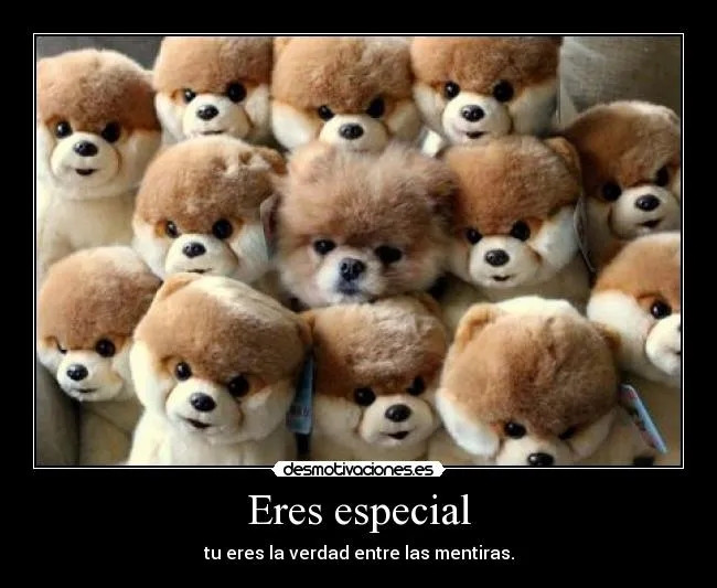 Eres especial | Desmotivaciones