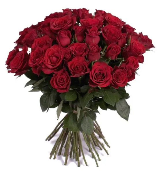 Especial Ramo de 36 Rosas Rojas a domicilio con Flores4you.