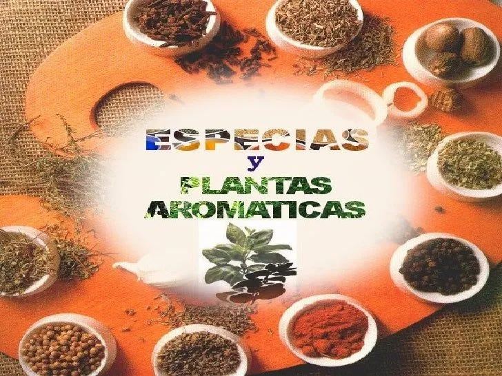 Las Especias y las plantas aromaticas