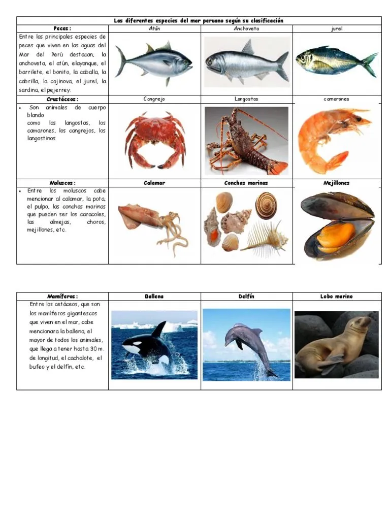 Especies Del Mar Peruano | PDF