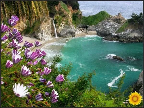 Espectaculares Paisajes con flores de colores muy bonitas ...