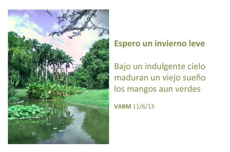 Espero un invierno leve | Victor A. Bueno M.