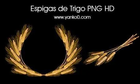 Espigas de Trigo PNG HD ~ Photoshop Facil