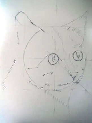 espiritu adolescente.: como dibujar un gato?how to draw a cat?