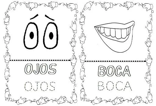 Partes del cuerpo humano para colorear para niños - Imagui