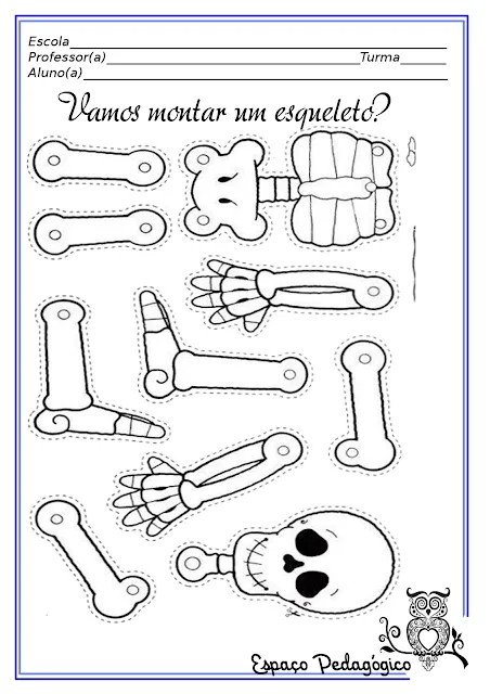 Esqueletos Para Montar Con Los Niños Pictures