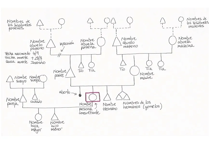 Esquema del Árbol Genealogico | Libera tus Emociones