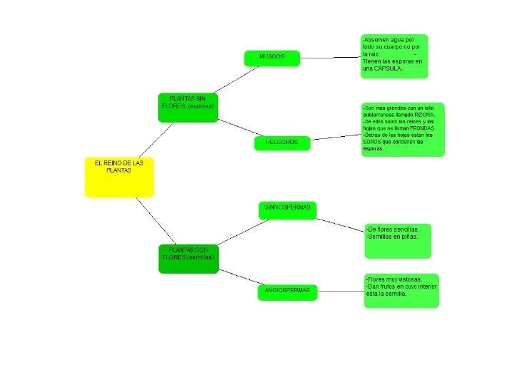 Esquema clasificacion plantas