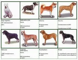 ESQUEMA-PERROS-PELIGROSOS.jpg