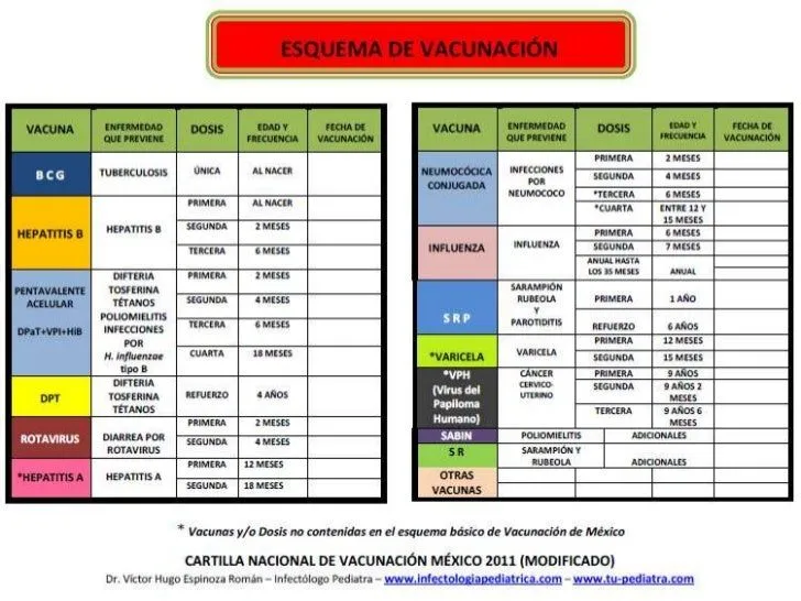 Esquema de vacunación en Méxic