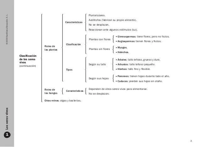 Esquemas conocimiento del medio 3 ciclo de primaria