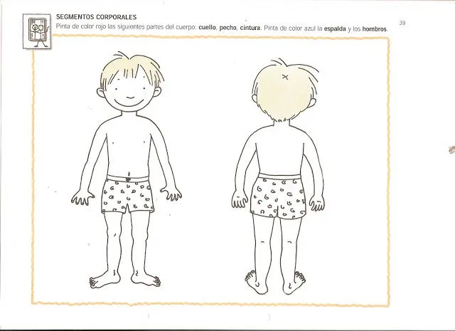 Esquemas cuerpo humano para niños - Imagui