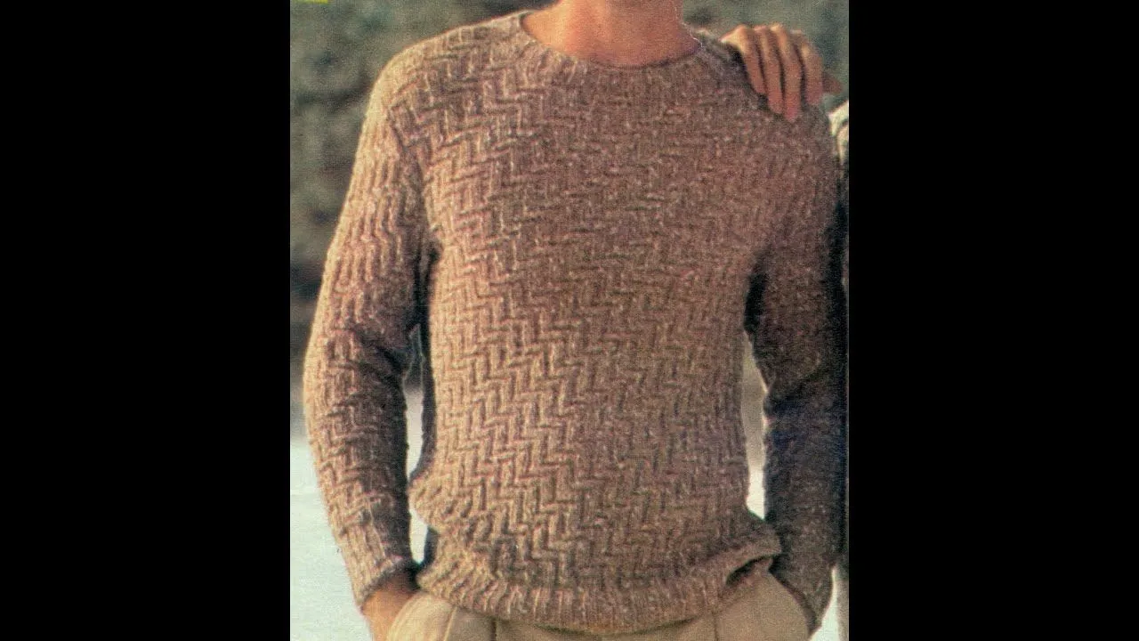 Esquemas para tejer suéter para caballero a punto de relieve y zig ...