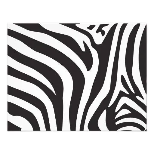 Estampado de zebra comunicado personal | Zazzle