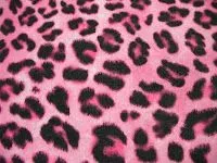 Estampado de leopardo - Imagui