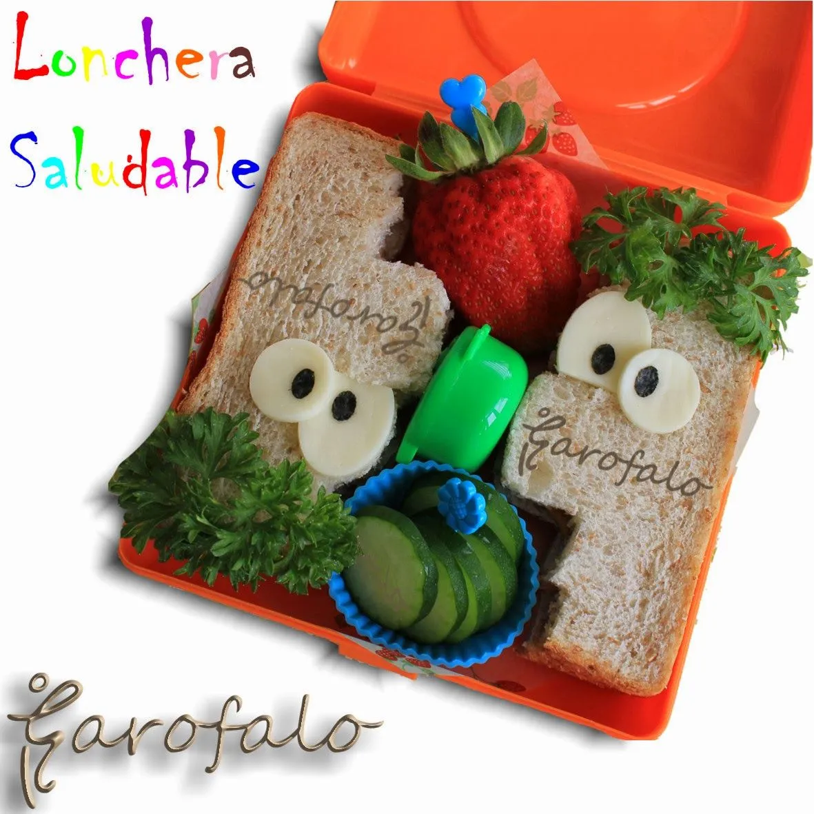 Estética y Nutrición Garofalo.: Loncheras Saludables