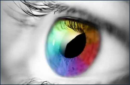 Estilos de aprendizaje para todos