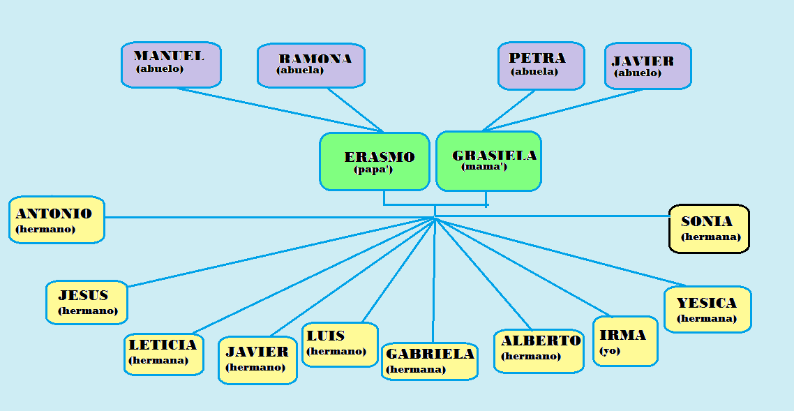 ESTRATEGIAS DE APRENDIZAJE