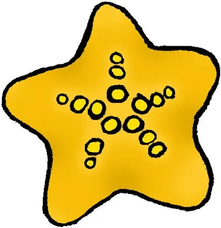 Estrellita de mar para colorear - Imagui