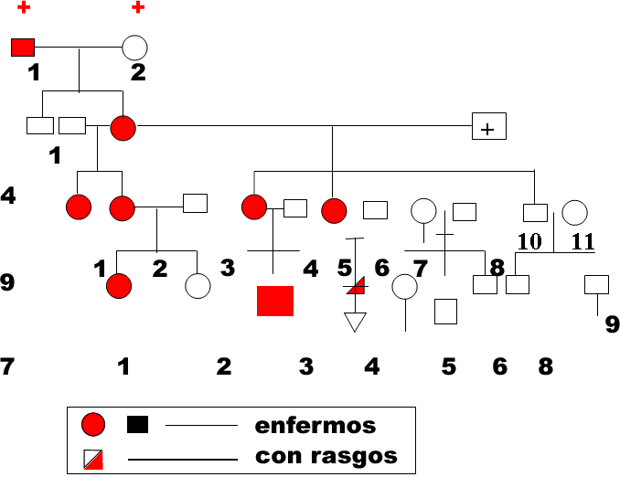 Estrés oxidativo y sistema de defensa antioxidante | Rodríguez ...
