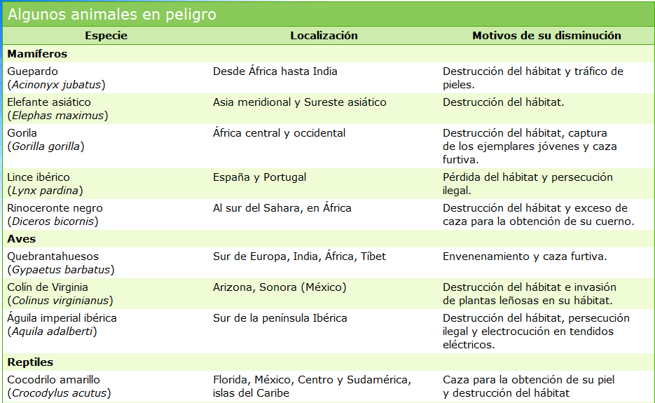 Estudiando!: Animales en peligro de extincion