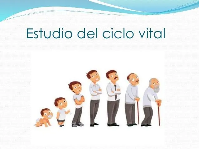 Estudio del desarrollo humano