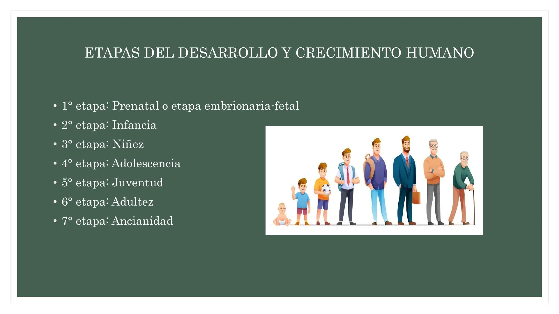 Etapas del Crecimiento y Desarrollo Humano | uDocz